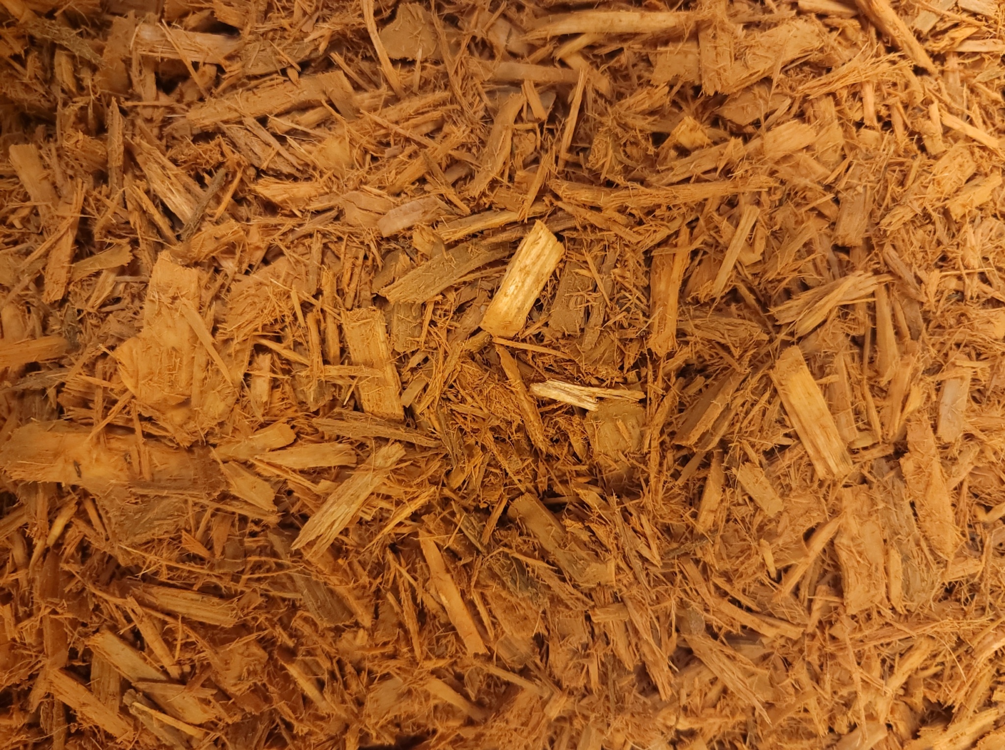 Mulch Delivery in Madison WI and The Surrounding Area Quality Mulch